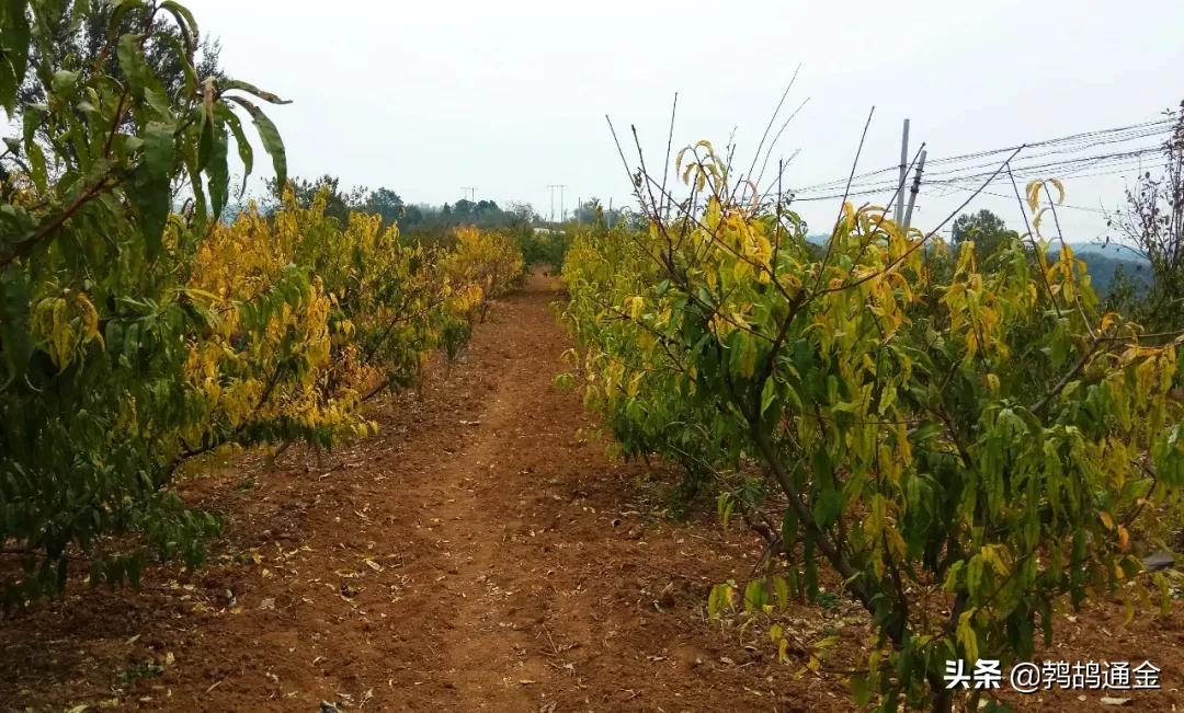 一亩土地等于多少平米,一亩地是多少平方米怎么换算出来