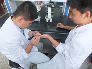 学医学检验技术没有出路了怎么办,学习医学检验技术怎么样