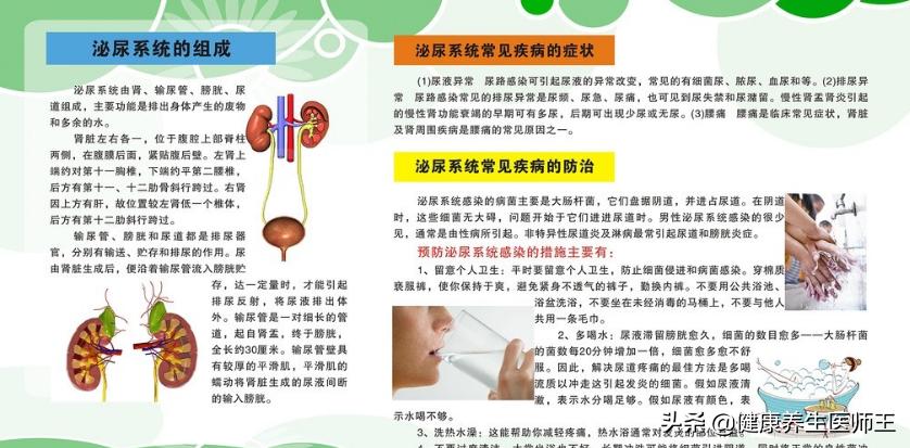 复杂性泌尿系感染症状,身体炎症百病之源