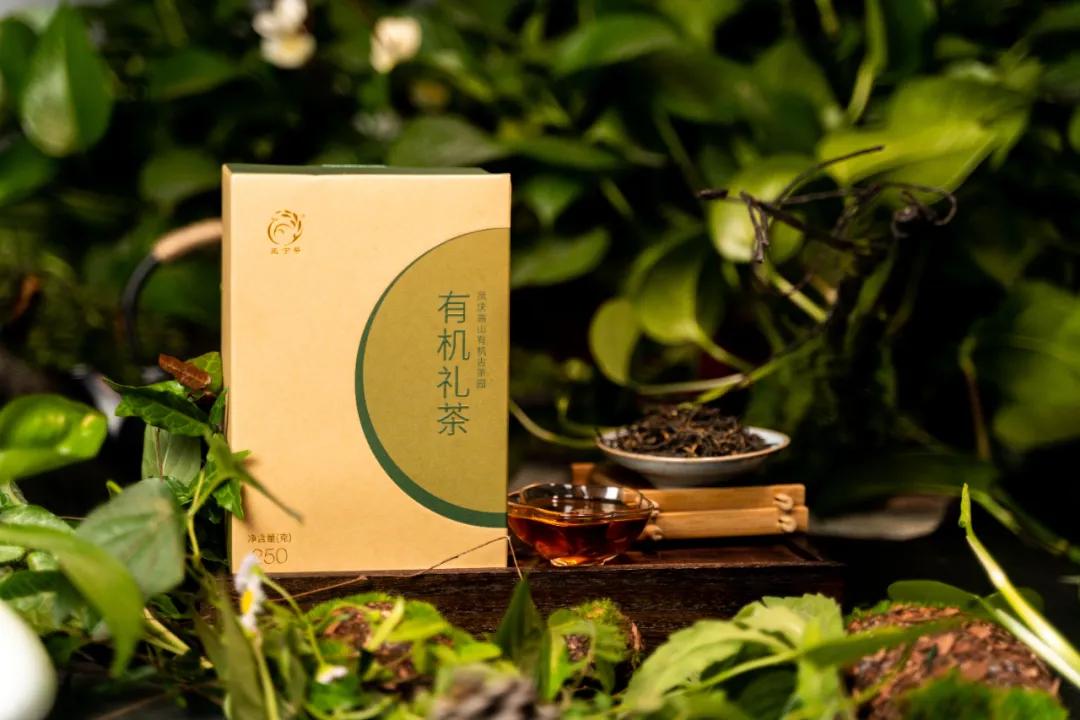 茶推荐口粮茶,新年新推荐一款性价比高的茶