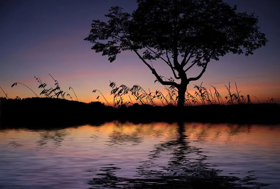 杜甫感伤世态炎凉的诗,杜甫尝尽世态炎凉图片