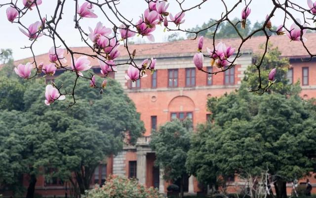 宅家又如何?翻开相册!浙大学子带你进行回忆式线上旅游!