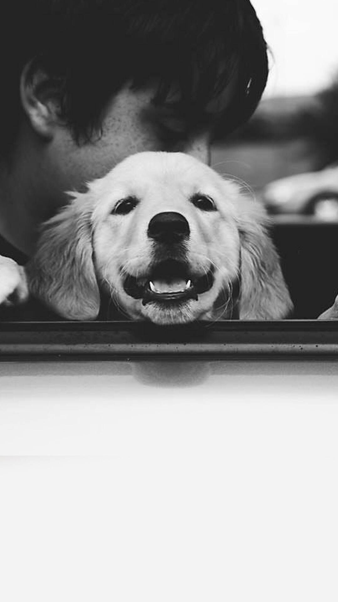 手机高清壁纸原图自取好运,原图壁纸经典手机壁纸分享