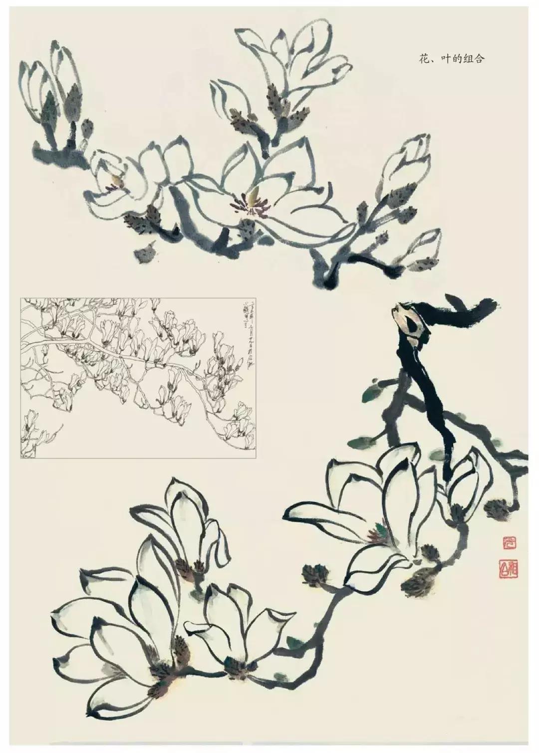 国画团扇花卉画法,国画中常见花卉的画法