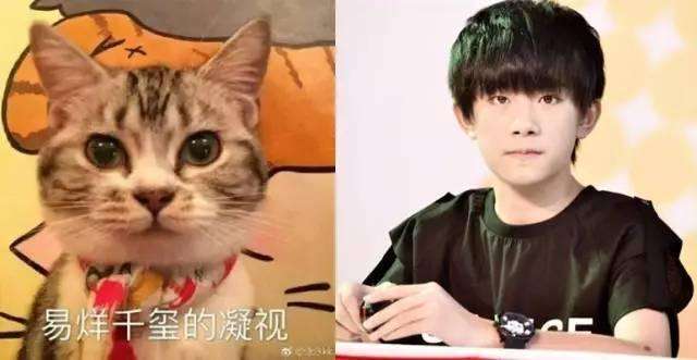 李荣浩怼小区物业完整版,李荣浩怼物业完整视频