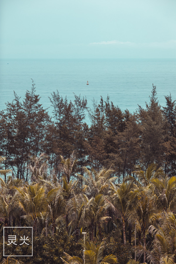 坐轮船多少钱三亚,去三亚坐轮渡7座车多少钱