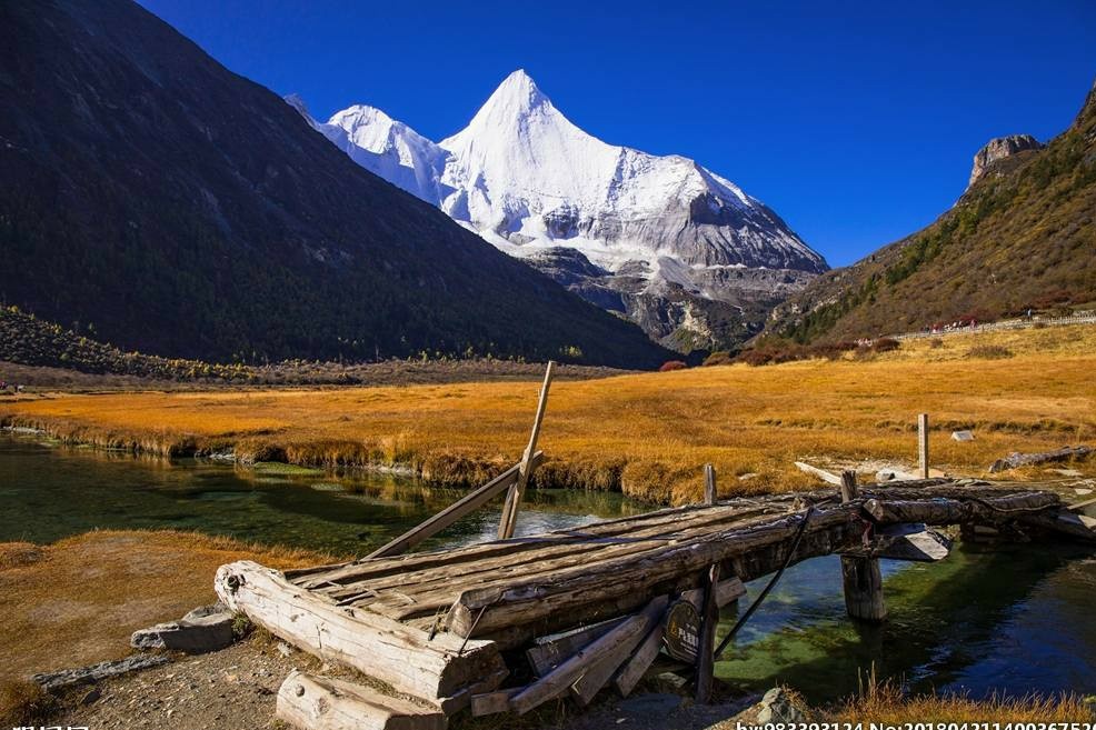 自古深情留不住唯有套路得人心gif,自古多情空余恨下一句是什么