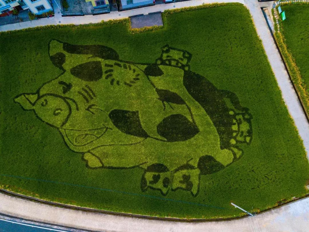 震撼!钱塘江畔出现巨型画作,有28个足球场这么大!