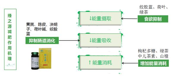 绿之源减肥胶囊有用吗,减肥胶囊推荐真实有效