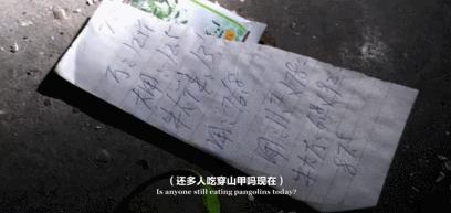 吃野生穿山甲的后果,吃了穿山甲会有什么法律后果