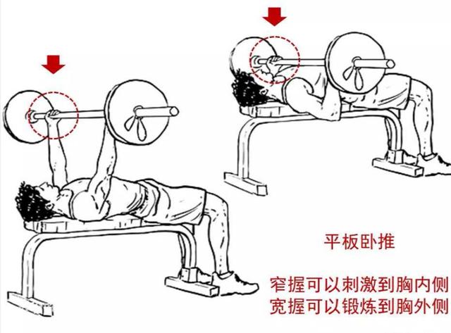 怎么样胸练到位了,如何练好胸型