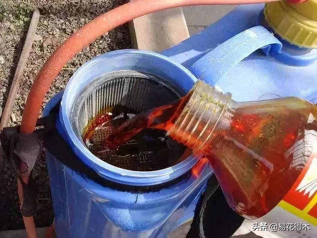 舍利干柏盆景造型,舍利干盆景怎么样