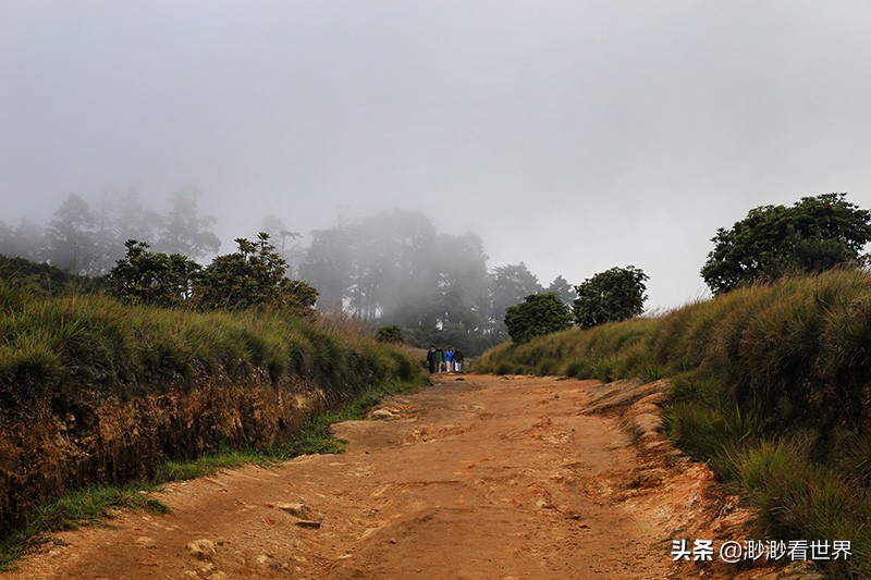 去斯里兰卡旅游攻略,1月去斯里兰卡旅游的最佳攻略