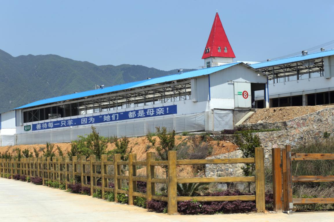 广西优贝优全团队走进欧铂佳牧场,探索国产好奶源