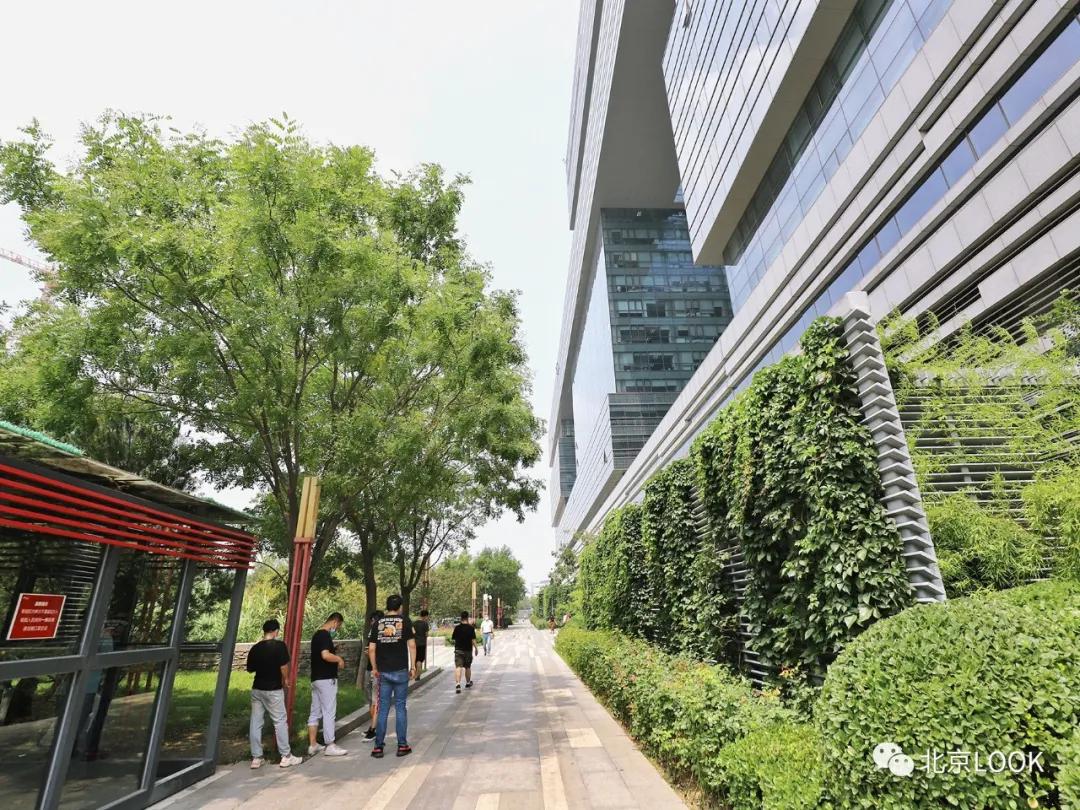 别人家的公司,别人家的公司还招人吗