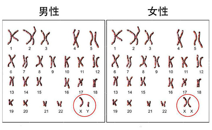 dna破案原理动画,dna破案经典集合