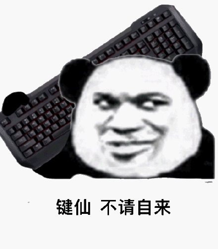 鲁能足校二十年功勋,山东鲁能足校金字招牌