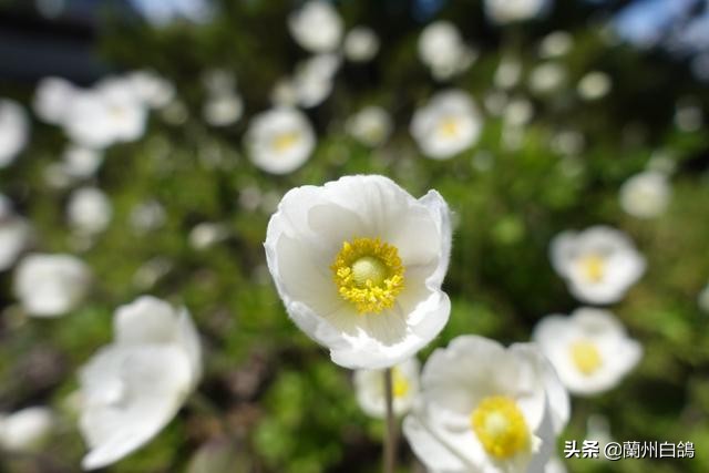 2020年照相机排行榜,2022年值得入手照相机