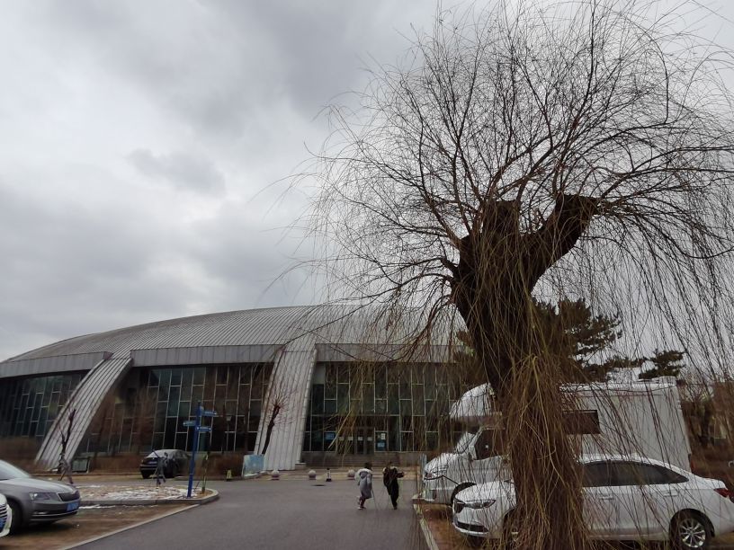 我看“春风”拂来的沈阳