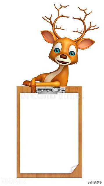 四年级自己喜爱的动物,我喜爱的一种动物300字作文