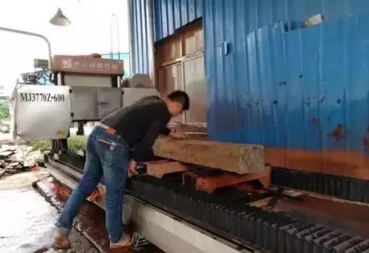 木材的发展与前景,木材界的黑马