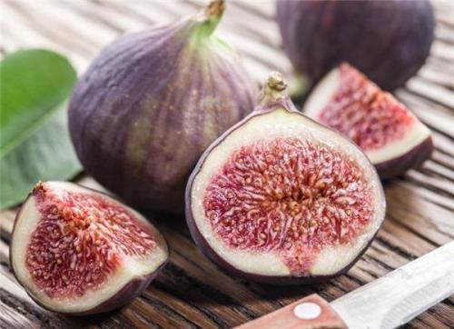 腊梅花和梅花百科知识,冬天开花的植物腊梅有哪些