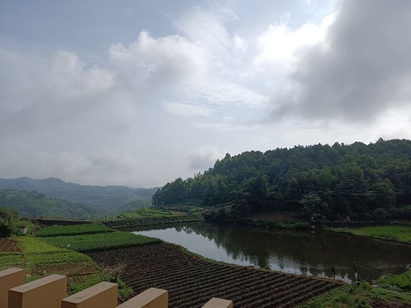 家乡的生态环境变迁的ppt,家乡的生态环境变化绘画