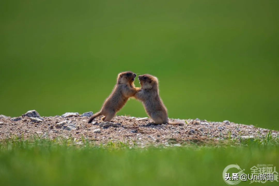 美图欣赏黄河全貌,航拍九曲黄河最美视频