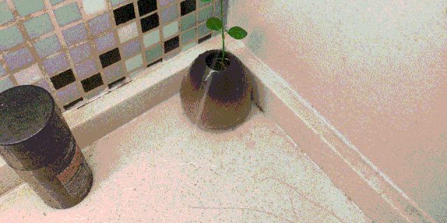 真正能用的超声波洁牙仪有哪些,智能全自动口腔清洁器