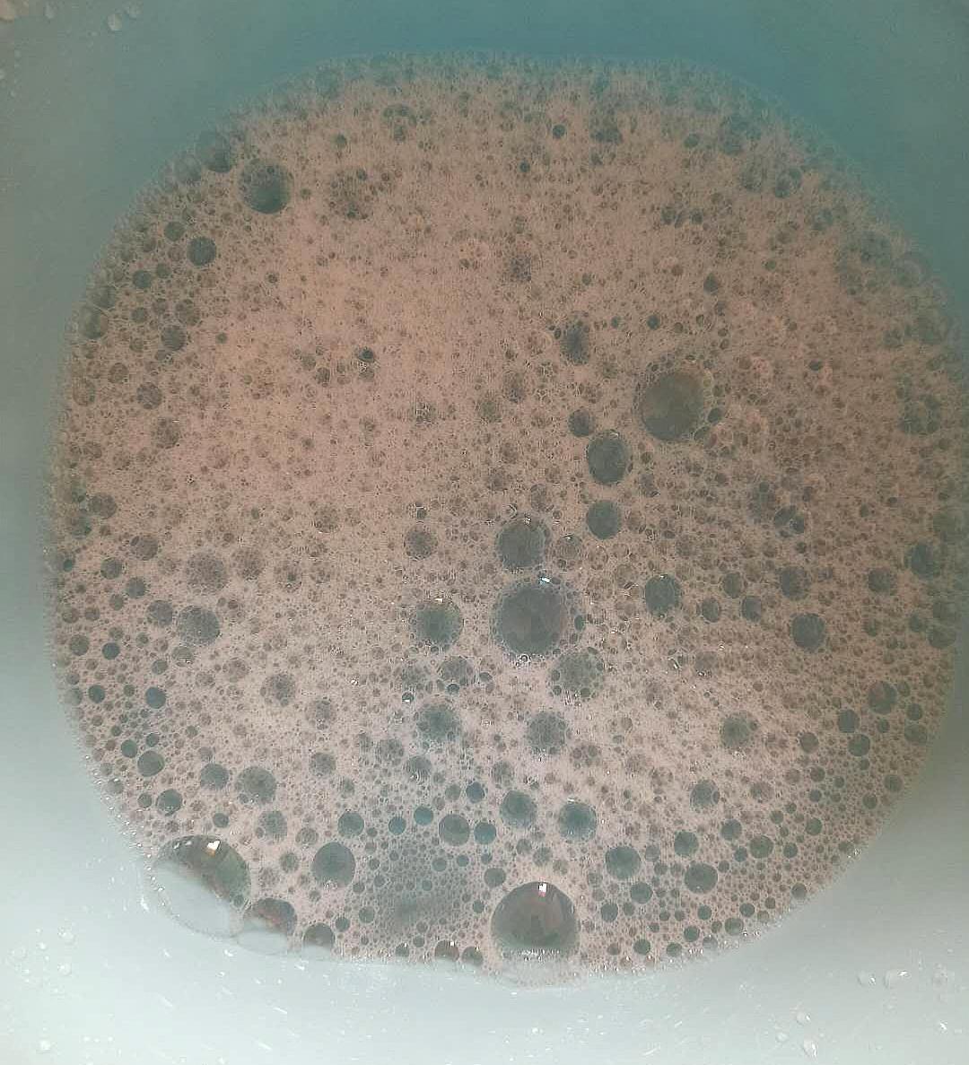 花卉治蚜虫喷什么药好用一点 (花卉上的蚜虫能直接喷杀虫剂吗)