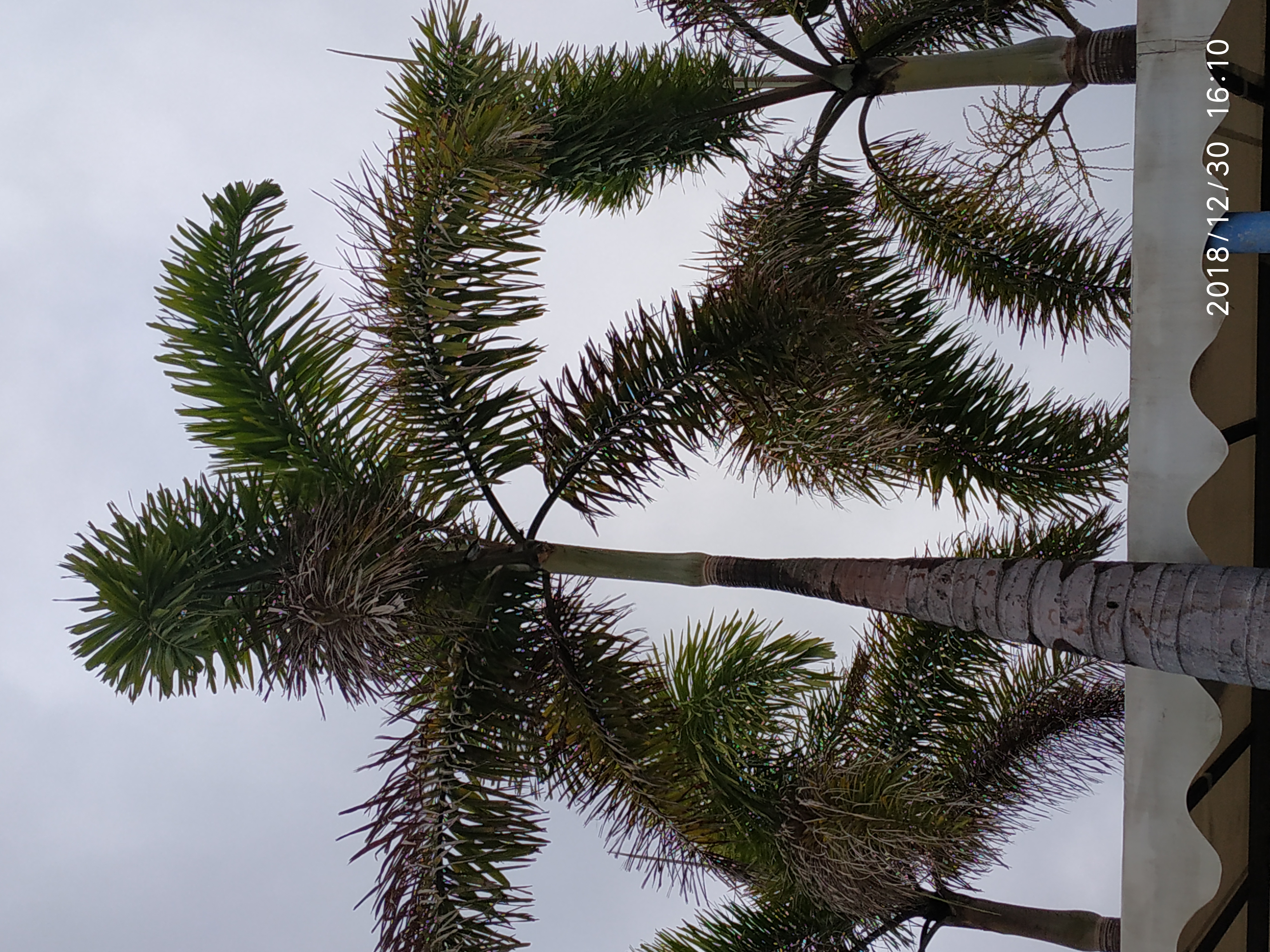 今年北海有多冷——银滩上的北海人如是说，要去玩海的听我说