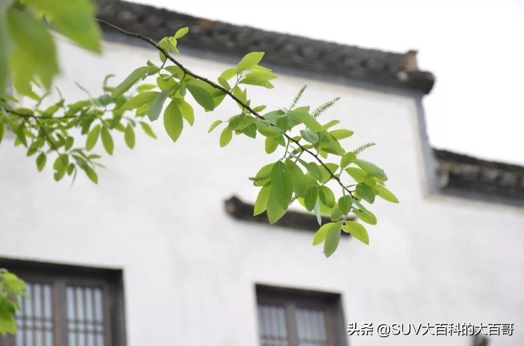 15款jeep指南者新车多少钱,15jeep指南者2.0落地多少