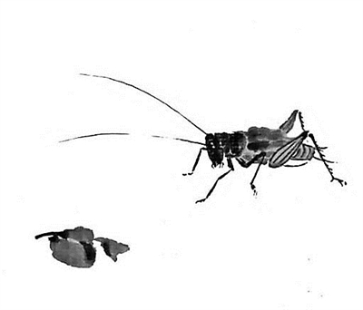 冬季鸣虫叫,过冬鸣虫有哪些