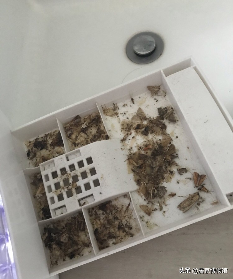 房间驱蚊虫好物推荐,居家好物驱蚊虫