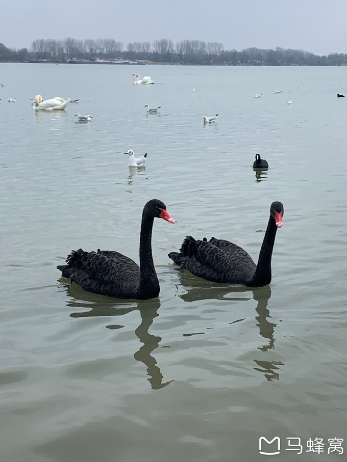 塞尔维亚游记,难忘的欧洲之旅