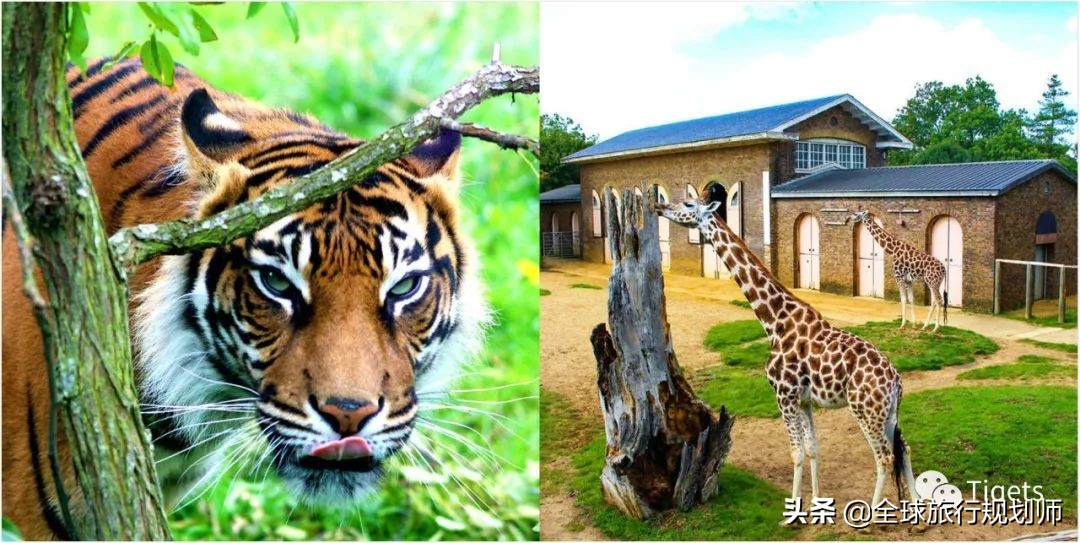 端午小长假的正确方式,小长假该如何安排