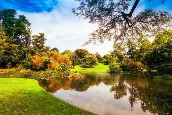 花园设计前沿趋势|14种澳洲庭院花园类型(上篇),全面细致