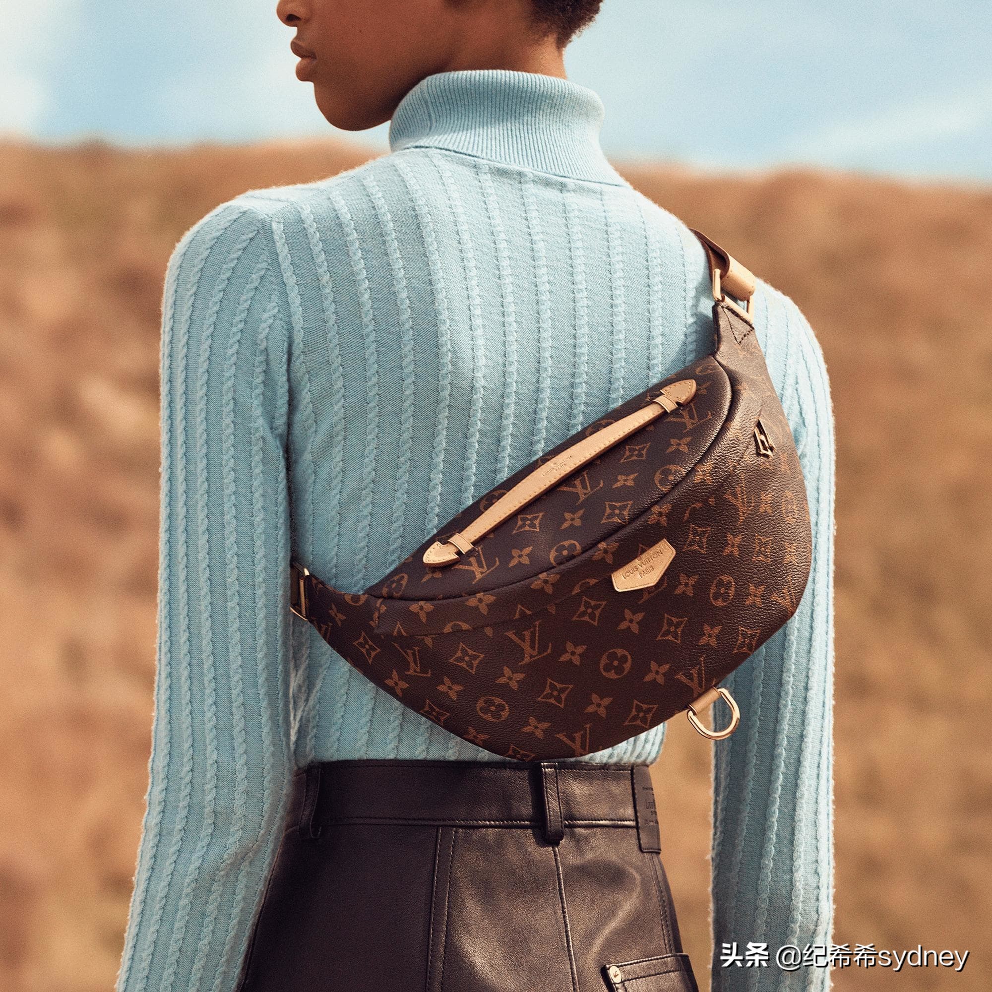 今年爆款的LV包是哪一款,2019lv女士包图片和价格