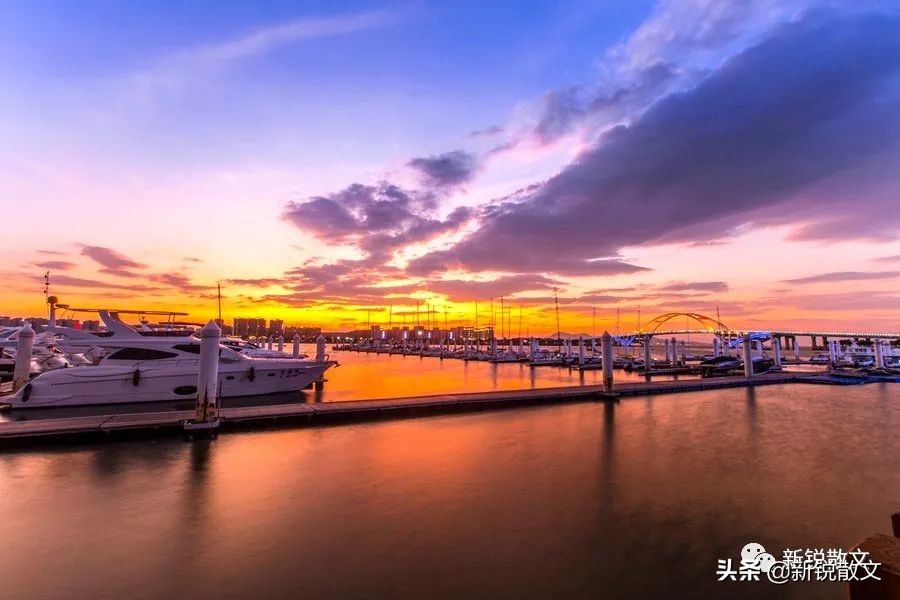 厦门土楼和鼓浪屿哪个好,厦门鼓浪屿福建土楼