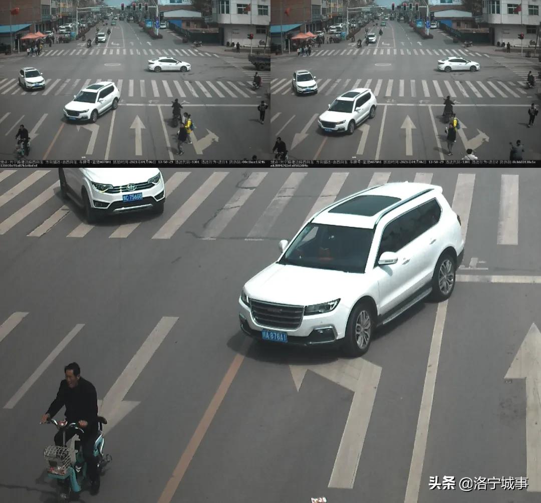 洛宁交警曝光酒驾醉驾典型案例,洛宁县交警违章处理在哪里