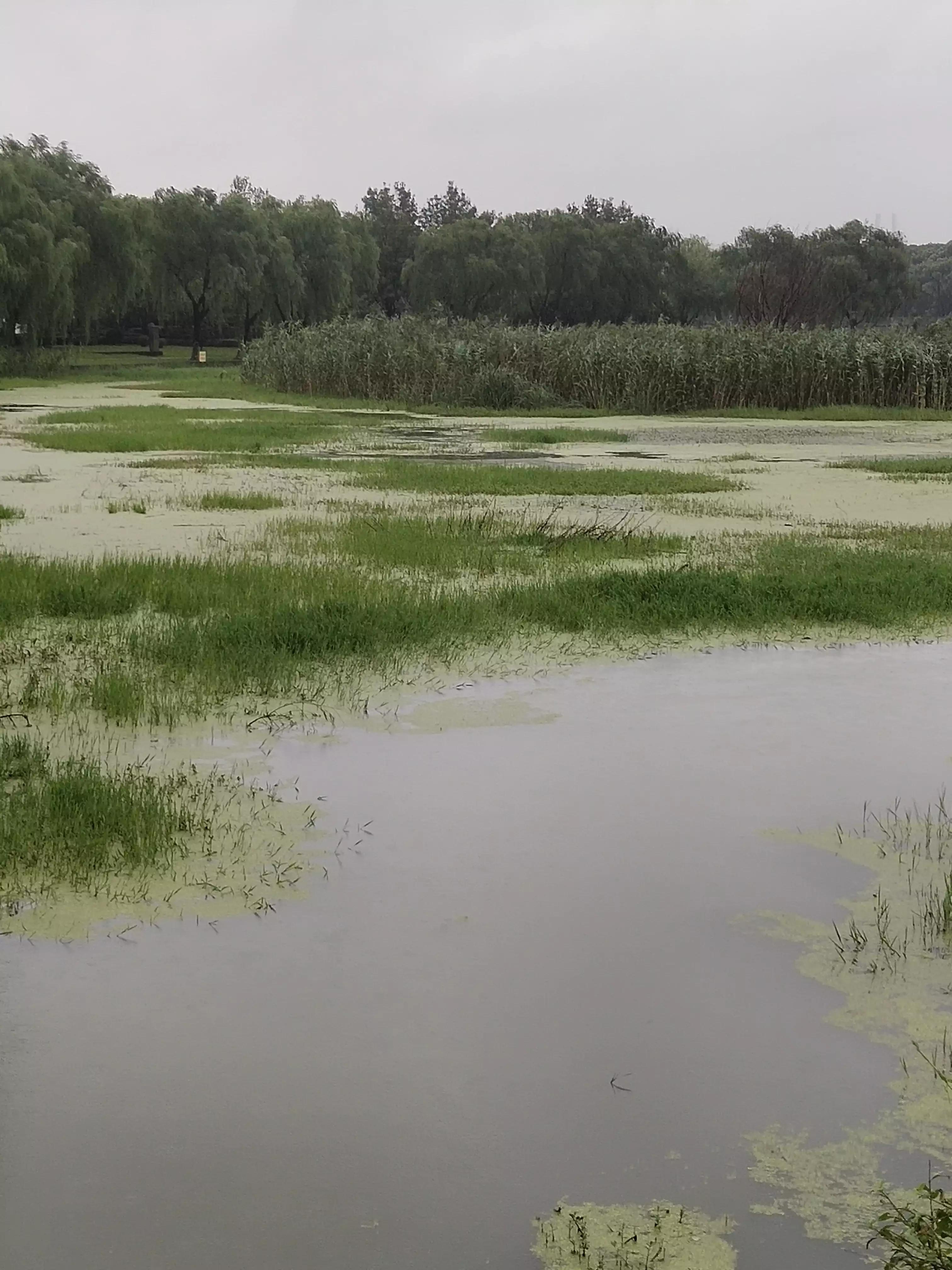 知己知彼百战不殆知是什么意思,知己知彼百战不殆是情报战吗