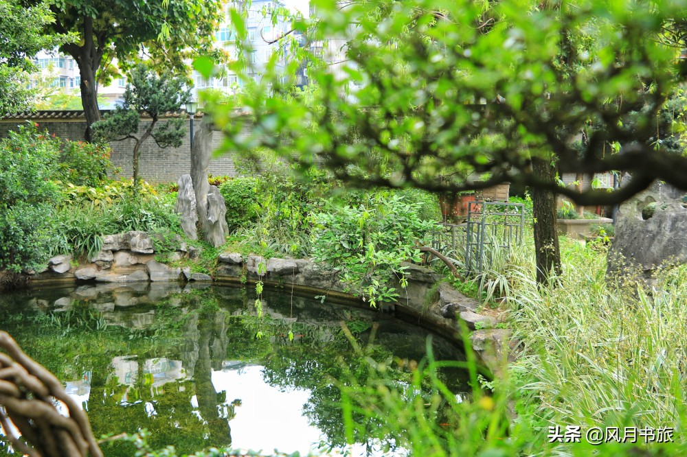 广东佛山百岁名园40年建成，关山月题名，罗哲文称它岭南第一园