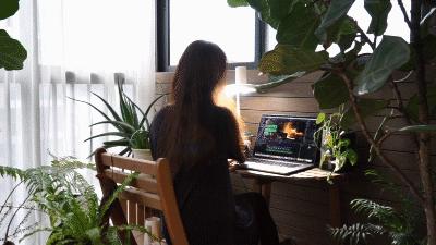 巴慕达台灯视频,日本乔布斯