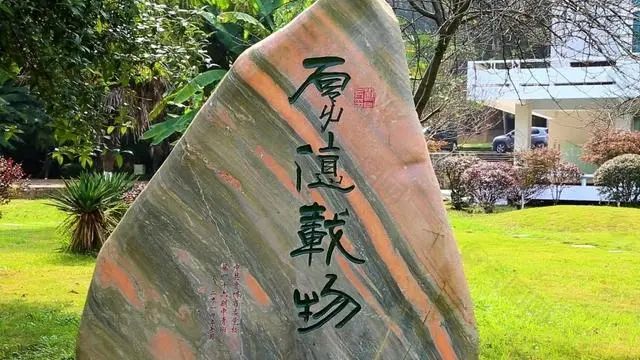 疫情挡不住春天温情,疫情挡不住温情怒放的生命