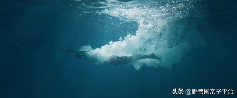 哪里学游泳最便宜又好,暑假学游泳去哪里学