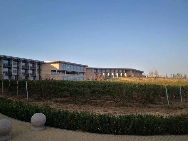 中粮华夏长城,中粮长城葡萄酒加盟官网