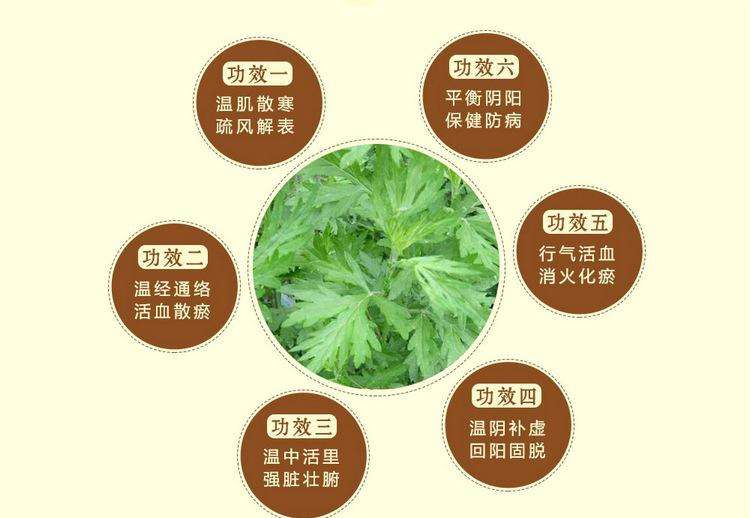 艾灸的功效的简介,关于艾灸的几种功效你都知道吗