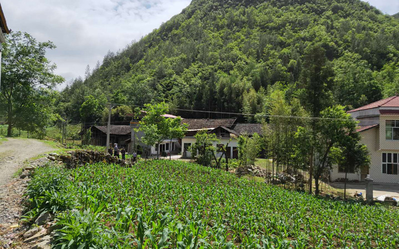 飞地荆竹园:美好生活“起飞”