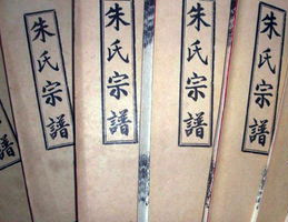 历史上真实族谱,历史遗留族谱