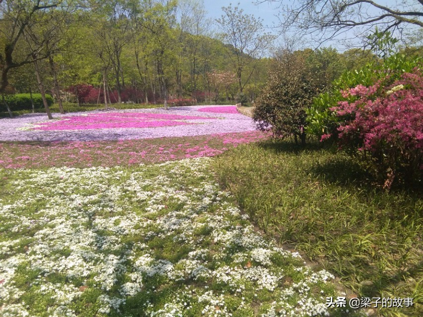 杭州市萧山区湘湖旅游攻略,湘湖旅游攻略一日游最佳路线